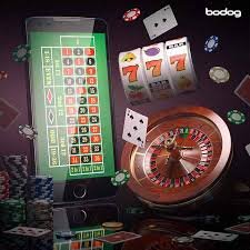 roobet game Local raqam ke jawab